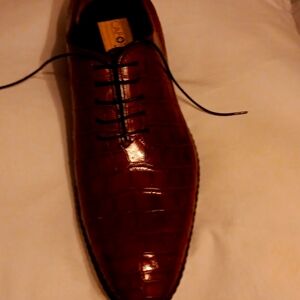 Caporicci FULL body cut Alligator shoes! Brand New Never been worn!